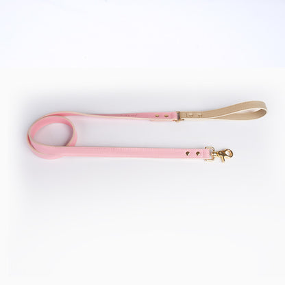 Leather Pet Dog Leash Collar Set(home made)