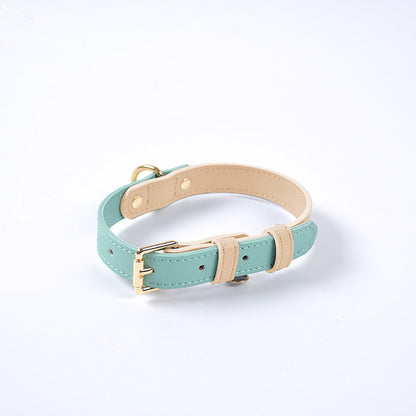 Leather Pet Dog Leash Collar Set(home made)