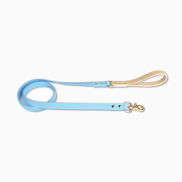 Leather Pet Dog Leash Collar Set(home made)