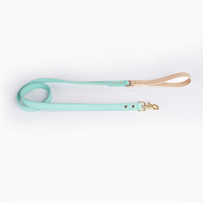 Leather Pet Dog Leash Collar Set(home made)