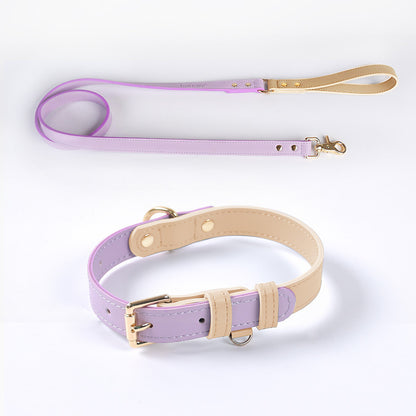 Leather Pet Dog Leash Collar Set(home made)