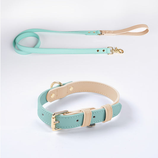 Leather Pet Dog Leash Collar Set(home made)