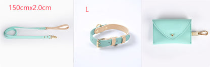 Leather Pet Dog Leash Collar Set(home made)