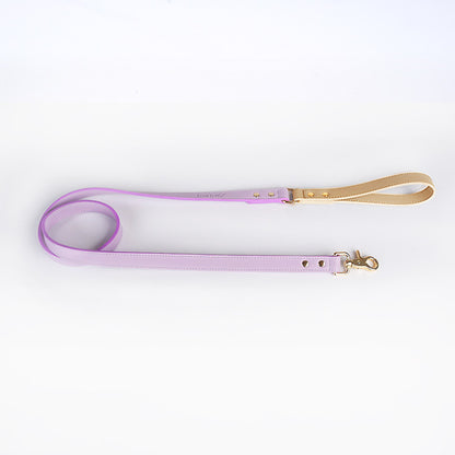 Leather Pet Dog Leash Collar Set(home made)